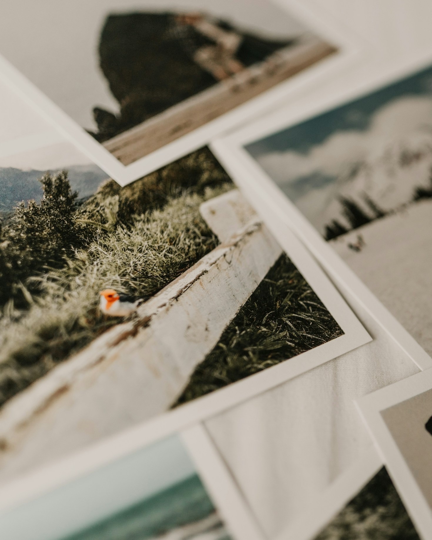 The Making of Albert Kronberg’s Digital Archive